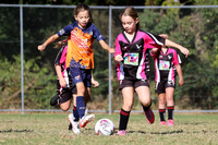 Edgeworth JSC 09G/01 v West Wallsend JFC 09G/01
