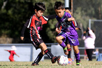 Edgeworth JSC 06/05 v Westlakes FC 06/04