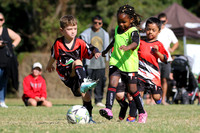 Edgeworth JSC 05/01 v Edgeworth JSC 05/02