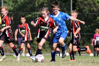 Edgeworth JSC 09/03 v West Wallsend JFC 09/01