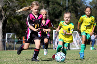 Edgeworth JSC 07G/01 v Belswans JFC 07G/01