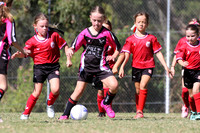 Edgeworth JSC 08G/02 v South Cardiff CFC 08G/01
