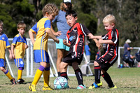 Edgeworth JSC 07/03 v Toronto Awaba JFC 03
