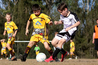 Greta Branxton 10/04 v Maitland JFC 10/02
