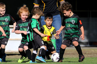 Tilligerry United 05/01 v Medowie FC 05/01