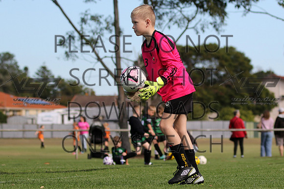 D-056
