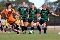 Tilligerry United 11G/01 v Kotara South FC 11G/01