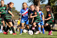 Tilligerry United 08G/01 v Stockton Sharks 08G/01