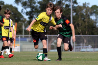 Tilligerry United 11/01 v Nelson Bay FC 11/04