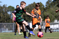 Tilligerry United 10/01 v Kotara South FC 10/01