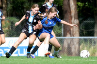 Cup - Charlestown Azzurri v Mid Coast FC