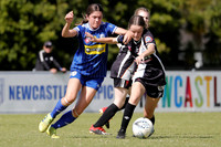 Newcastle Olympic v Mid Coast FC