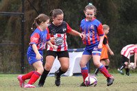 Abermain Rams 08G/01 v Tenambit Sharks 08G/01