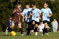 Cessnock United  08/01 v Bolwarra Lorn 08/01