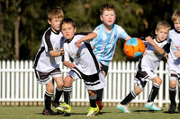 Cessnock United 06/04 v Maitland JFC 06/03
