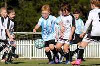 Cessnock United 07/01 v Maitland JFC 07/05