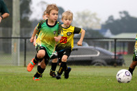 Raymond Terrace SC Jun2026