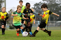 Raymond Terrace SC 06/01 v Medowie FC 06/03