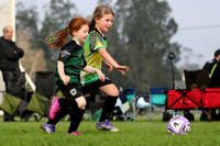 Raymond Terrace SC 06G/01 v Tilligerry United 06G/01