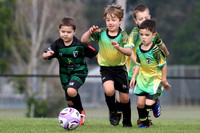 Raymond Terrace SC 06/02 v Tilligerry United 06/01