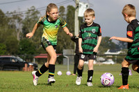 Raymond Terrace SC 07/01 v Tilligerry United 07/01