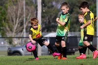 Raymond Terrace SC 07/03 v Medowie FC 07/04