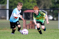 Raymond Terrace SC 07/02 v Medowie FC 07/01