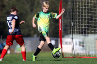 K-009