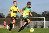 Raymond Terrace SC 11/02 v Nelson Bay FC 11/03