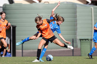 Adamstown Rosebud v Charlestown Azzurri