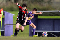 Lochinvar Rovers 12/01 v Edgeworth JSC 12/02