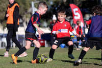 Thornton JFC 06/01 v Thornton JFC 06/06