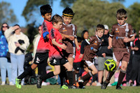 Thornton JFC 08/04 v Bolwarra Lorn 08/03