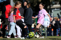 Thornton JFC 08G/01 v Bolwarra Lorn 08G/01