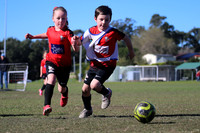 Thornton JFC 07/03 v Thornton JFC 07G/01