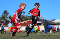 Thornton JFC 08/01 v Bellbird JFC 08/02