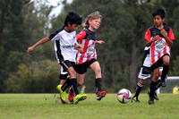 Abermain Rams 08/01 v Maitland JFC 08/05