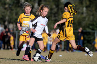 Maitland JFC 09/01G v Greta Branxton 09G/01