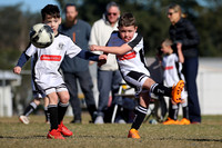 Maitland JFC 06/06 v Clarence Town FC 06/02