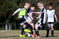 Maitland JFC 07/03 v Maitland JFC 07/05