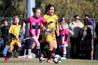 Maitland JFC 09/02G v Greta Branxton 08G/01