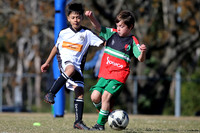 Maitland JFC 07/07 v Clarence Town FC 07/01