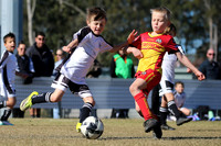 Maitland JFC 07/08 v Gresford Vacy FC 07/01