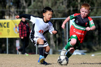 Maitland JFC 07/09 v Clarence Town FC 07/02