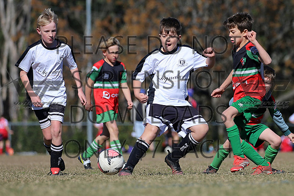 M-010