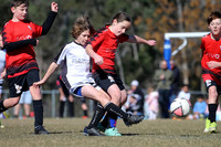 Maitland JFC 11/05 v Thornton JFC 11/01