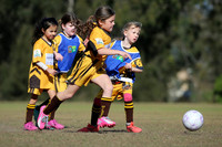 Greta Branxton 06G/02 v Greta Branxton 07G/02
