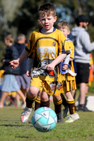 F
