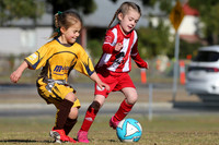 Bellbird JFC Aug2026