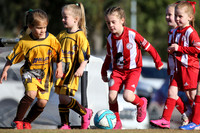 Bellbird JFC 06G/01 v Greta Branxton 06G/01